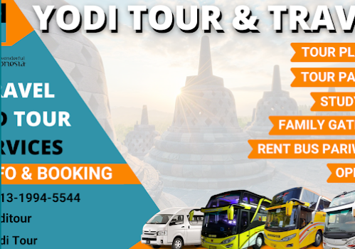 YODI Tour & Travel