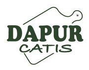 Dapur catis
