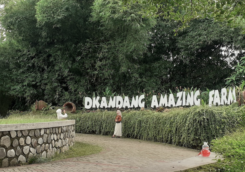 D'Kandang Amazing
